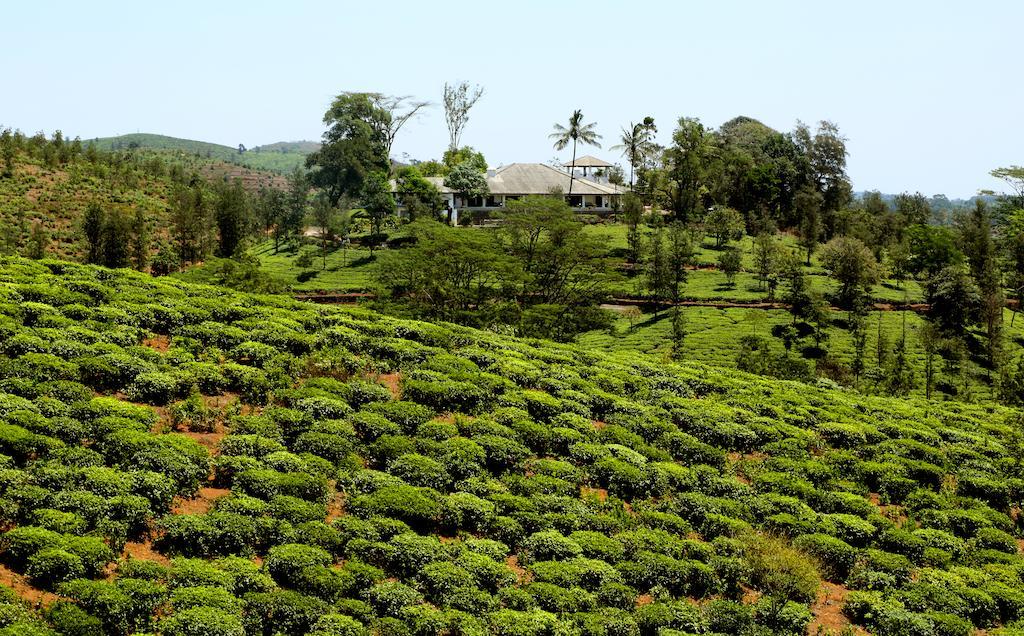 Hotel Parisons Plantation Experiences By Abad Mananthavady Zewnętrze zdjęcie