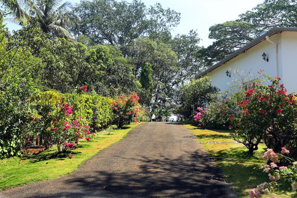 Hotel Parisons Plantation Experiences By Abad Mananthavady Zewnętrze zdjęcie