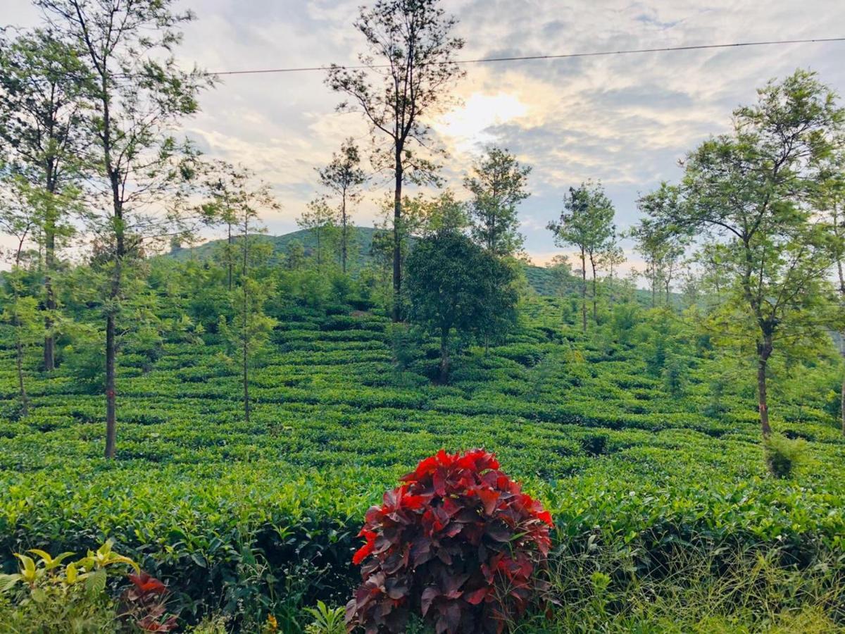 Hotel Parisons Plantation Experiences By Abad Mananthavady Zewnętrze zdjęcie